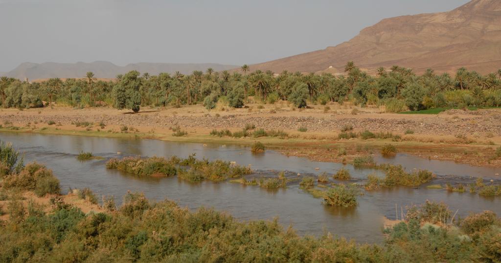 Villa Zagora Ma Villa Au Sahara Luaran gambar