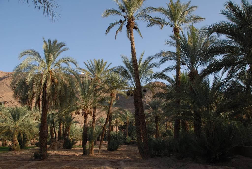 Villa Zagora Ma Villa Au Sahara Luaran gambar