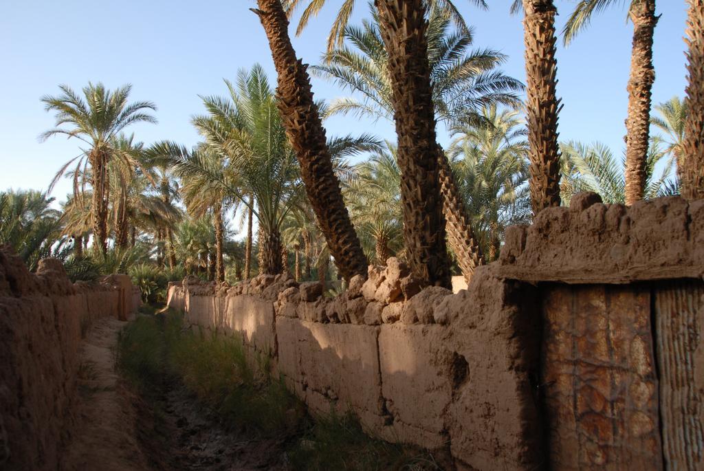 Villa Zagora Ma Villa Au Sahara Luaran gambar