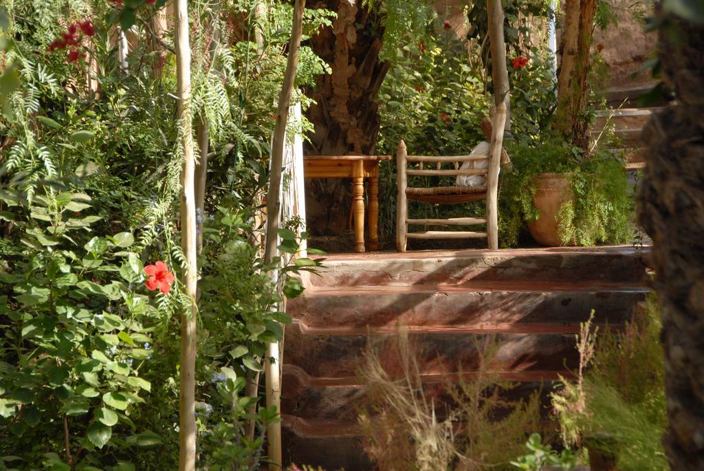 Villa Zagora Ma Villa Au Sahara Luaran gambar