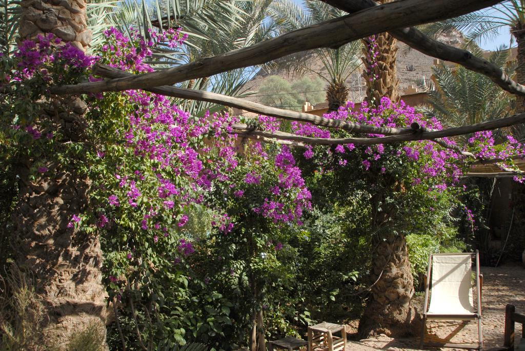 Villa Zagora Ma Villa Au Sahara Luaran gambar