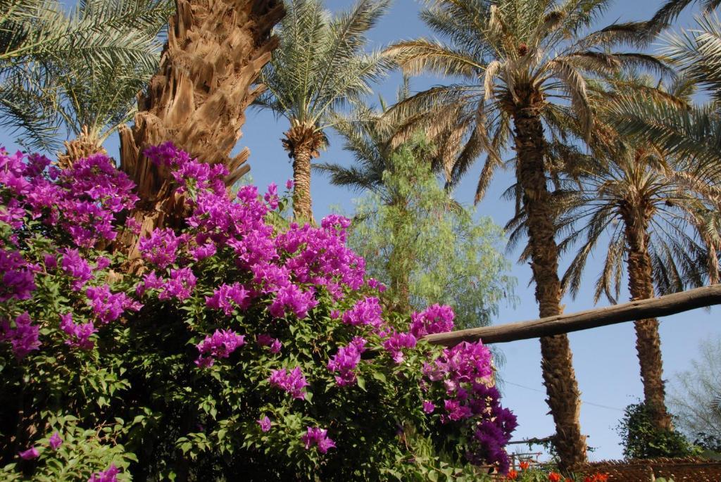 Villa Zagora Ma Villa Au Sahara Luaran gambar