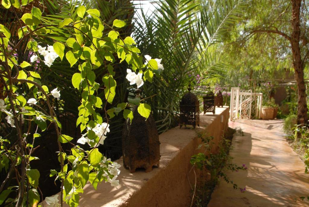 Villa Zagora Ma Villa Au Sahara Luaran gambar