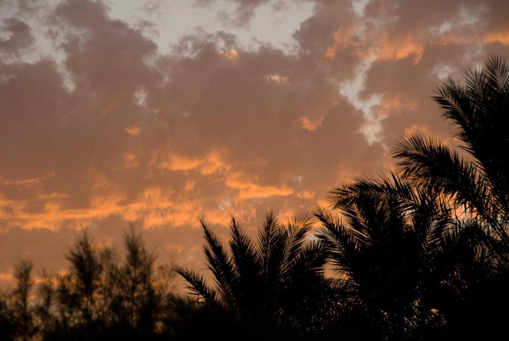 Villa Zagora Ma Villa Au Sahara Luaran gambar